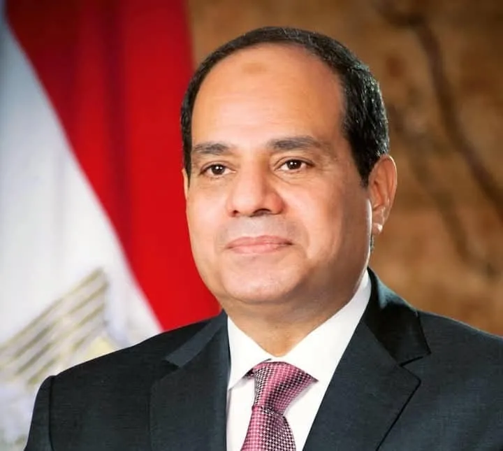 الرئيس السيسي 