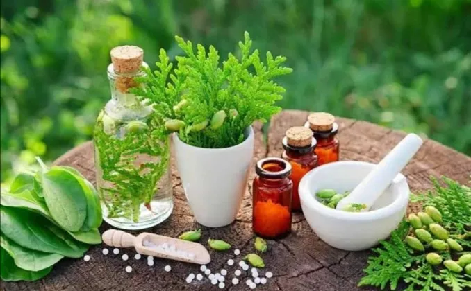 الأعشاب الطبية 